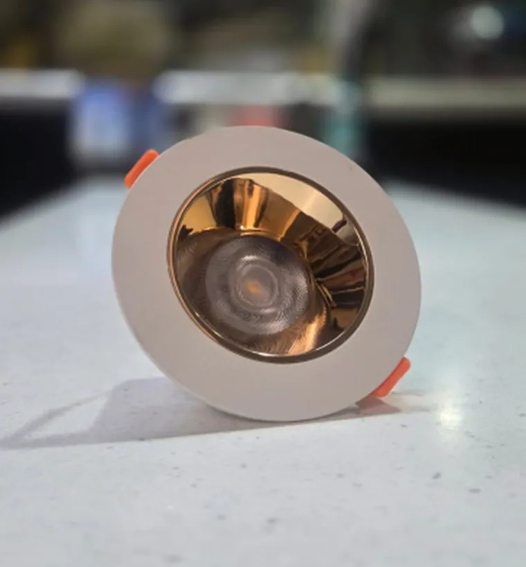 1011 Concealed Light