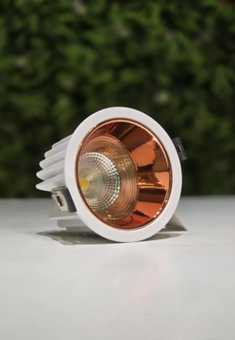 2061 COB Downlight