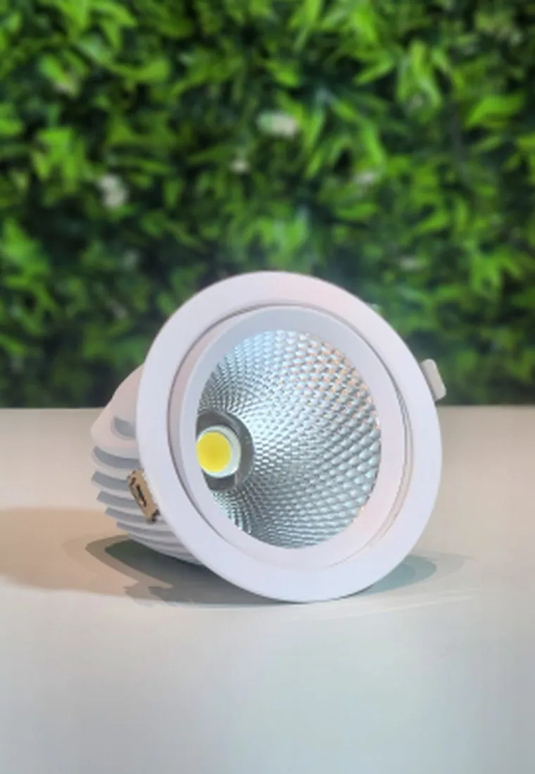 Trimless COB Downlight (360° Adjustable)